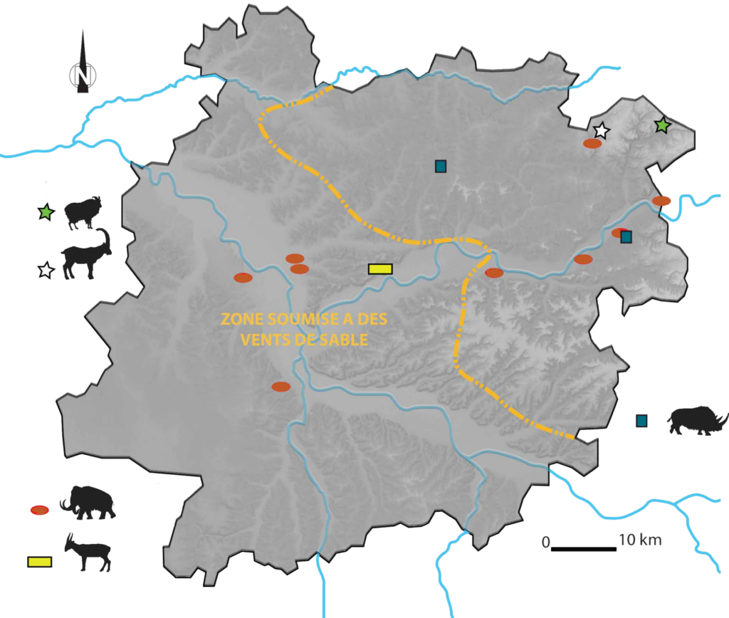 1 carte