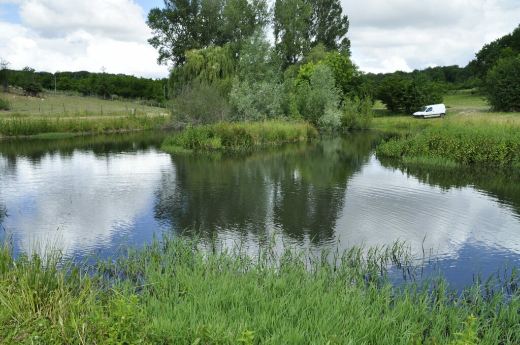 17 photo 2