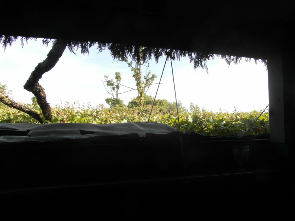 7 la cabane