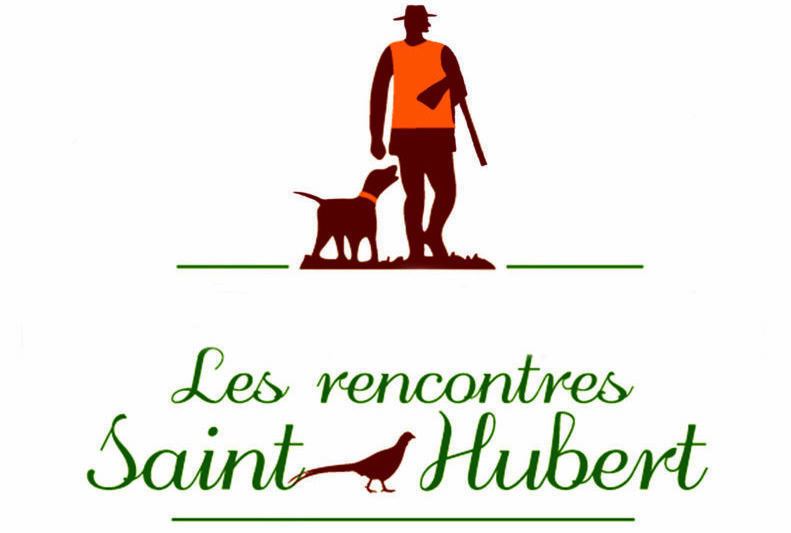 logo rsh 2018